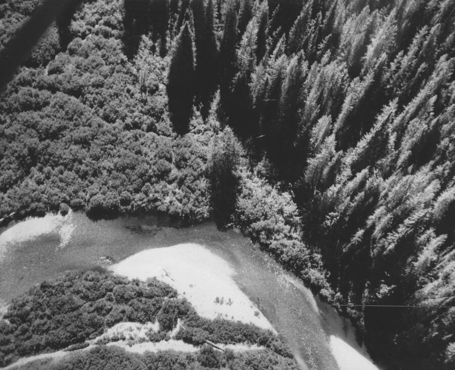 Aerial images of Bear Valley and March Creek 10