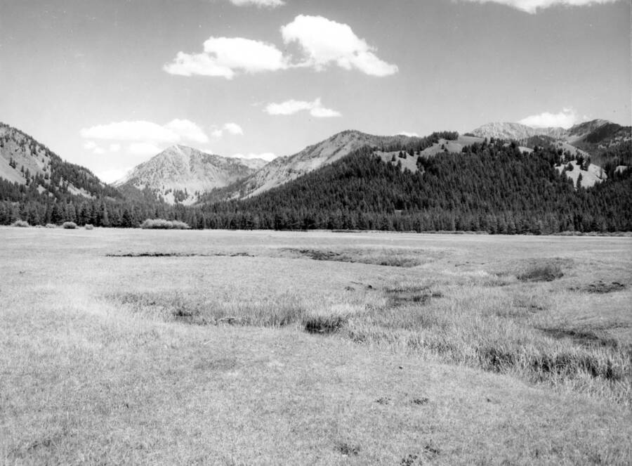 A photograph of a meadow on Pole Creek near the Old Pole Creek Guard Station.