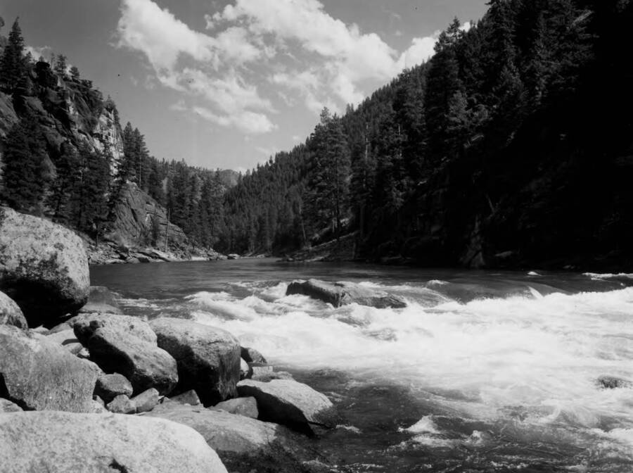 Photo text: 'Taken in connection with Wild Rivers Study. July 30, 1964.'