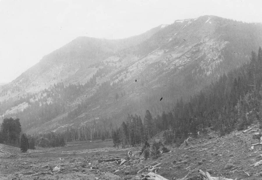Photo text: 'Snowsildes common here.' This is image is part of a report on lands proposed for addition to Sawtooth Forest Reserve by Gordon E. Tower, 1905.