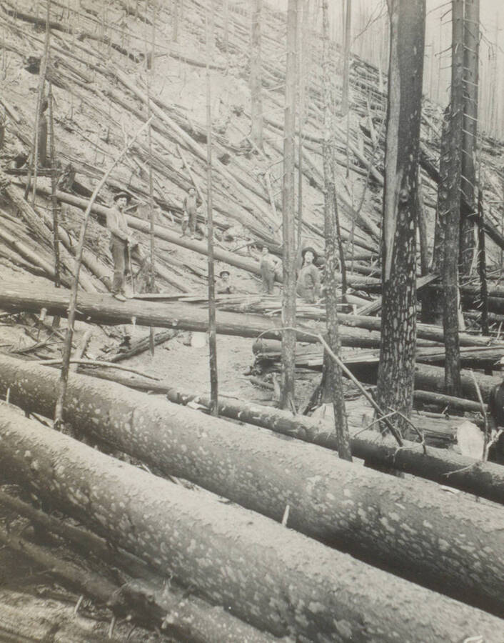Photo text: 'A trail crew at work.' This image is part of a pictorial narrative by William W. Morris titled 'Experiences on a National Forest'.