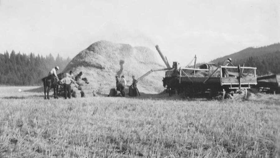 Threshing crew and barley harvest. This image is part of a report regarding farm organizations among tribes in Northern Idaho and the CCC-Indian Division.