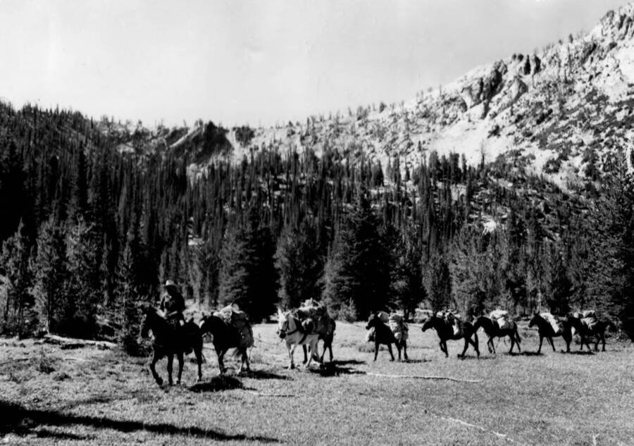 Pack train on Telephone Ridge in Big Horn Crags