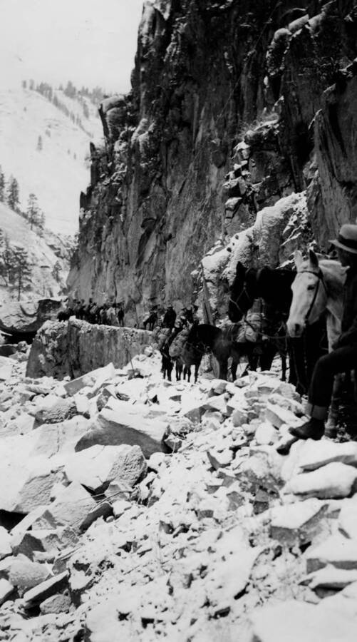 Photo text: 'US pack string packing to French Creek. Taken in crevice near Manning Bridge sight. Winter of '34 or Spring of '35. Art Francis, Tom Koski, Dutch, Harry Fritsen, A.C. Scribner.'
