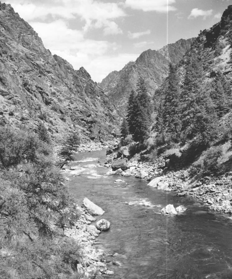 Middle Fork of the Salmon River from the Canyon-side near its confluence with the Main Salmon River.