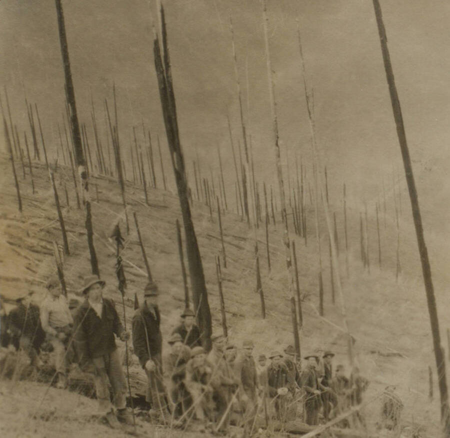 Photo text: 'Planting crews at work showing the difficulty of keeping the alignment in the down timber and how it was done by sighting on poles with red flags.' This image is part of a pictorial narrative by William W. Morris titled 'Experiences on a National Forest'.
