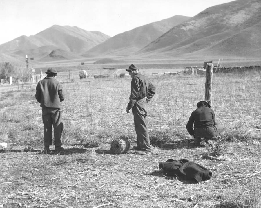 Three CCC workers from Mountain Home Camp G-99 work on post and wire-net fencing. Image part of CCC-Idaho Indian Division.