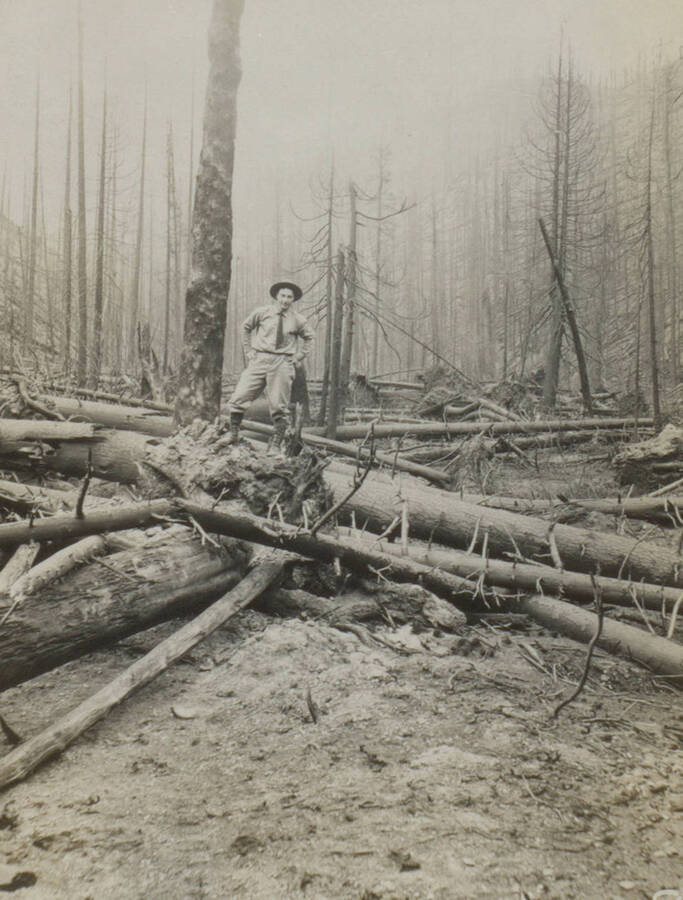 Photo text: 'Most of the trails were absolutely impossible.' This image is part of a pictorial narrative by William W. Morris titled 'Experiences on a National Forest'.