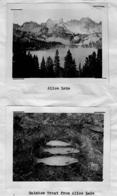 This image is part of a report by the United States Department of Agriculture Biological Survey and the Wildlife Management Division.