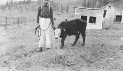 Photo caption: '4H Club member, Wallace Wheeler and his calf.' This image is part of a report regarding farm organizations among tribes in Northern Idaho and the CCC-Indian Division.