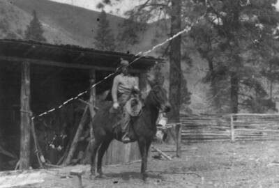 Photo text: 'Photo by Daisy Tappan.'