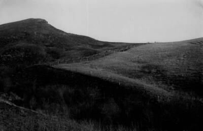 Photo text: 'Nez Perce National Forest'