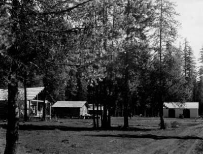 Photo text: 'Lolo National Forest'