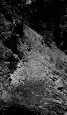 Pack train on the trail from Dry Creek in the Salmon-Challis National Forest.