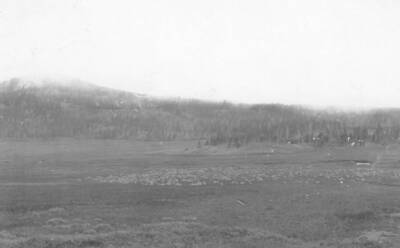 Photo text: 'Band of 1700 sheep on the way to water. Sheep have only been in the valley the past two years and the feed is very good, but number of sheep should be restricted.' This is image is part of a report on the proposed Sawtooth Forest Reserve by Hugh P. Baker, 1904.