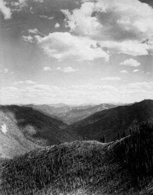 Photo text: 'Marble Creek, Idaho Primitive Area.'