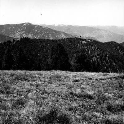 Photo text: 'June 22, 1964.'