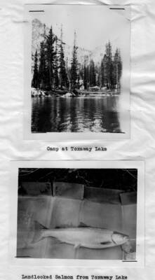 This image is part of a report by the United States Department of Agriculture Biological Survey and the Wildlife Management Division.