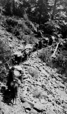 Photo text: 'January 11, 1928.'