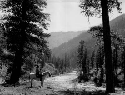 Mounted forest patrol looks across Middle Fork of Salmon River in the Salmon-Challis National Forest.