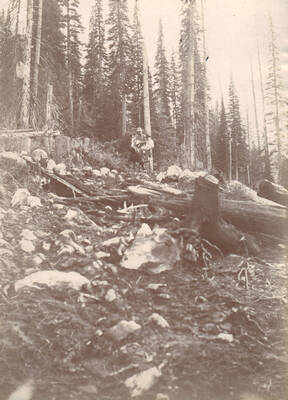 Photo text: 'Surveying Wagon Road from Lake Creek to Crooked River.'