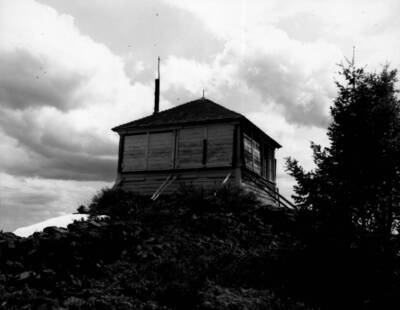 Photo text: 'May 19, 1993.'