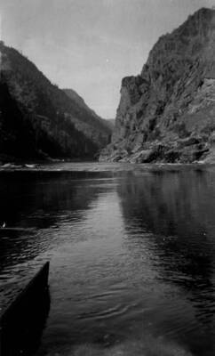 A view of the slopes below Pine Creek on the Salmon River in the Salmon-Challis National Forest.