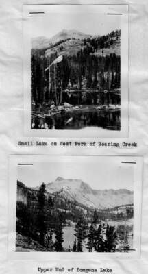 This image is part of a report by the United States Department of Agriculture Biological Survey and the Wildlife Management Division.