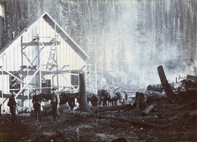 Saw mill and millworkers on Lake Creek near Buffalo Hump.