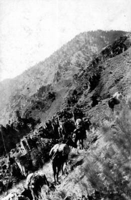 Photo text: 'Trail along Salmon River just below confluence of South Fork of Salmon with Main Salmon River. Looking down the Canyon. Survey  [...] only with packs. Sept. 19, 1908.'