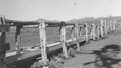 Project 126 - 80' trough. Range water development, $4800. A total of 15 developments to date, of which 7 were new developments, 6 were redevelopments, and 2 were through  extensions.' Note: This image is part of a report by V.W. Balderson to Director of Indian Affairs, D.E. Murphy on CCC-Indian Division Projects completed by the Fort Hall Agency, Fort Hall, Idaho.