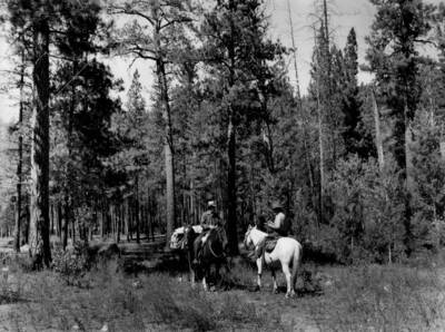 Photo text: 'Patrol issuing campfire permit.'