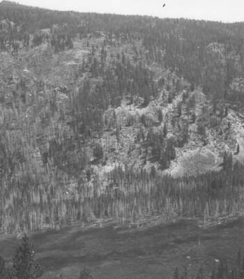 This is image is part of a report on lands found unsuitable for reserve purposes.