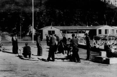 Photo text: 'Lolo National Forest' Hillside in background shows signs of a major burn or fire.