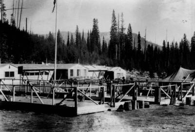 Photo text: 'Lolo National Forest' Hillside in background shows signs of a major burn or fire.