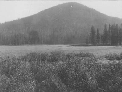 This is image is part of records by Fish and Wild Life Services.