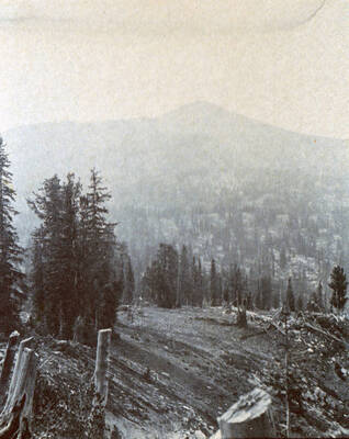A photograph along the road to Dixie near Buffalo Hump.