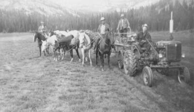 Photo text: 'Jim Renshaw on tractor -- Frank Wilson leading string.'