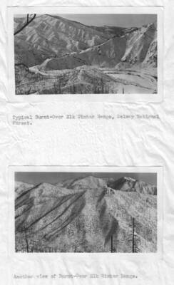 This image is part of a report by the United States Department of Agriculture Biological Survey on predation and pests.