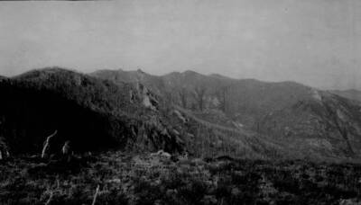 Photo text: 'General character of country.'