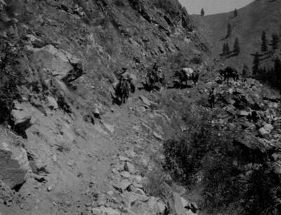 Pack train and rangers on Crevice Trail on Salmon River canyon wall