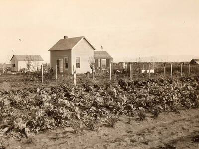 Photo text: 'Henchied ranch, near Rupert, Idaho.' Note: This image is part of records for Bureau of Reclamation projects.