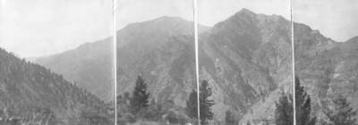 This image is part of a document titled 'Report upon the proposed Salmon River Forest and additions to Sawtooth, Bitterroot, and Lemhi Reserves, Idaho.' Collected by William T. Cox, 1904.