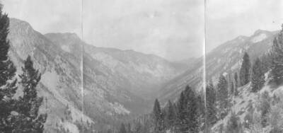 This image is part of a document titled 'Report upon the proposed Salmon River Forest and additions to Sawtooth, Bitterroot, and Lemhi Reserves, Idaho.' Collected by William T. Cox, 1904.