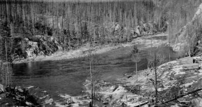 Tent and log crossing in bottom left and center of image