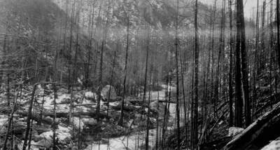Bungalow Ranger Station area and bridge after Big Burn