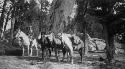 Photo text: 'August 8, 1952.'