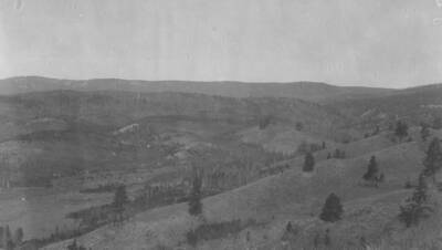 Photo text: 'Reproduction and second growth of lodgepole on burns.' This is image is part of a report on the proposed Payette Forest Reserve by R.E. Benedict, 1904.