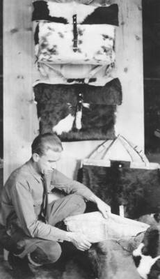 Photo text: 'Pack bags made out of tanned Drouth Relief Cow Hide.' This image is part of a report by the United States Department of Agriculture Biological Survey on predation and pests.