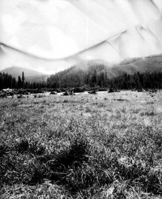 The Root Ranch Landing Field clearing in the Salmon-Challis National Forest.